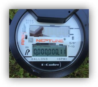 neptune meter reading system